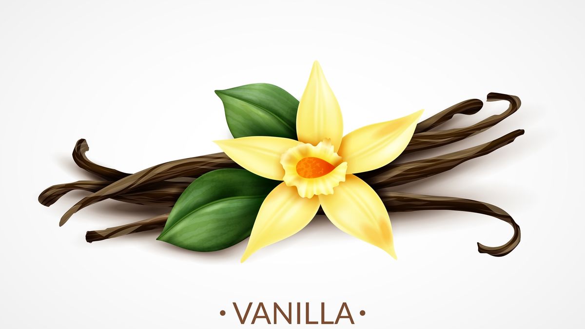 Vanila Sari: Local Pride Flavors Brightening Cilacap Mornings